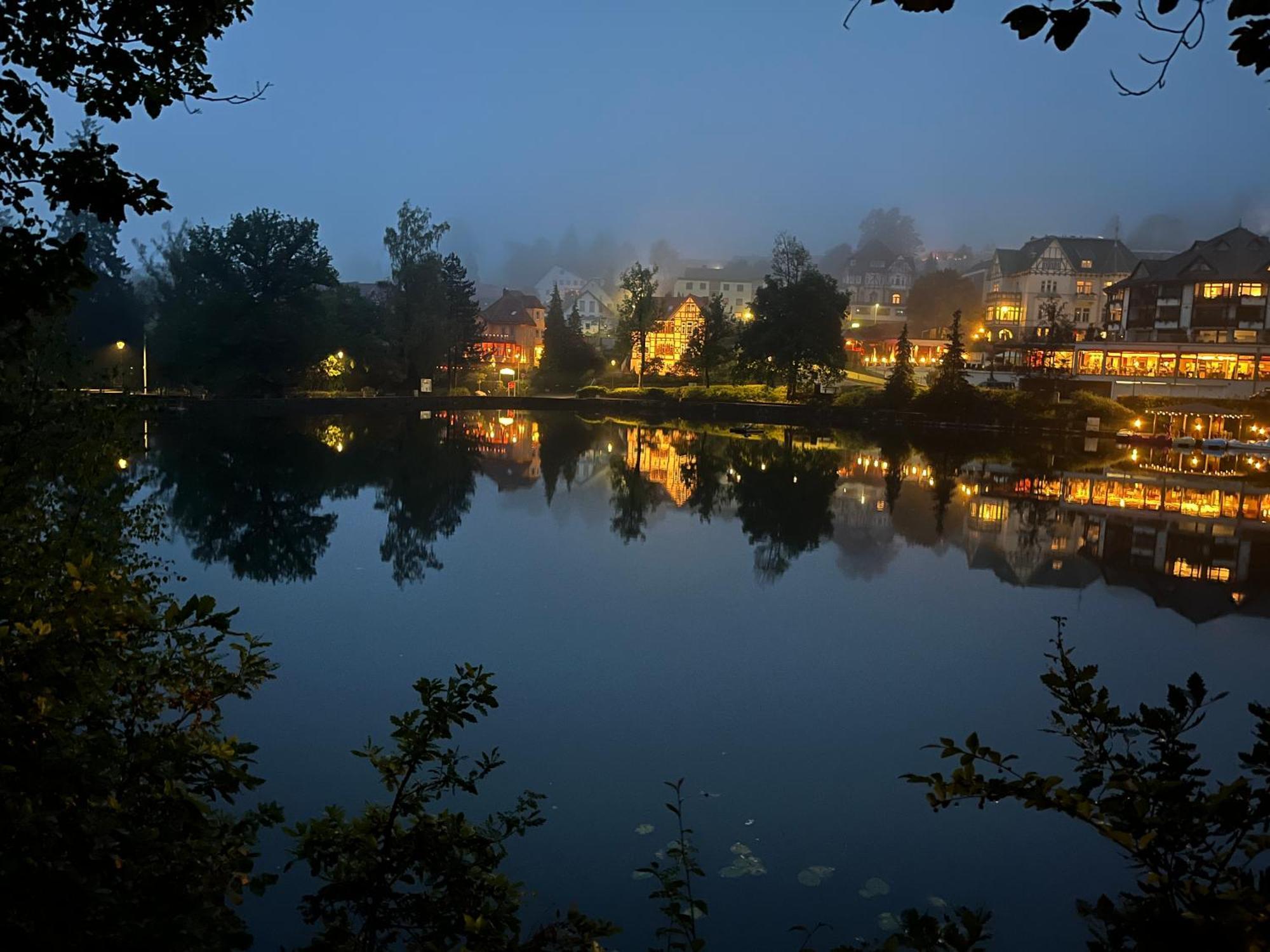 Haus Am See Hotell Bad Sachsa Exteriör bild