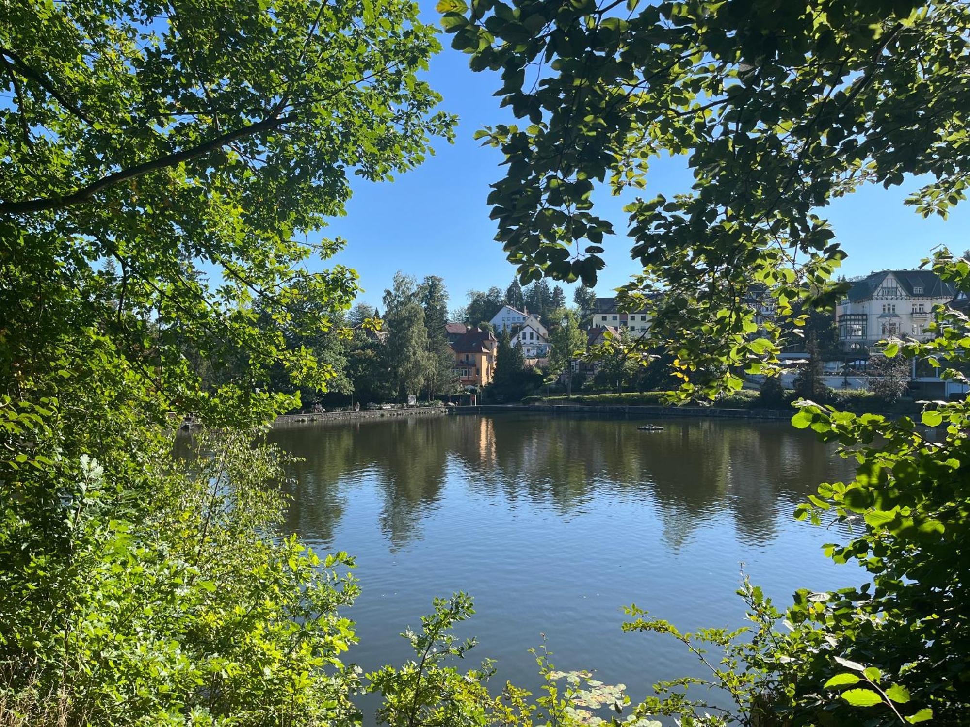 Haus Am See Bad Sachsa Exteriör bild