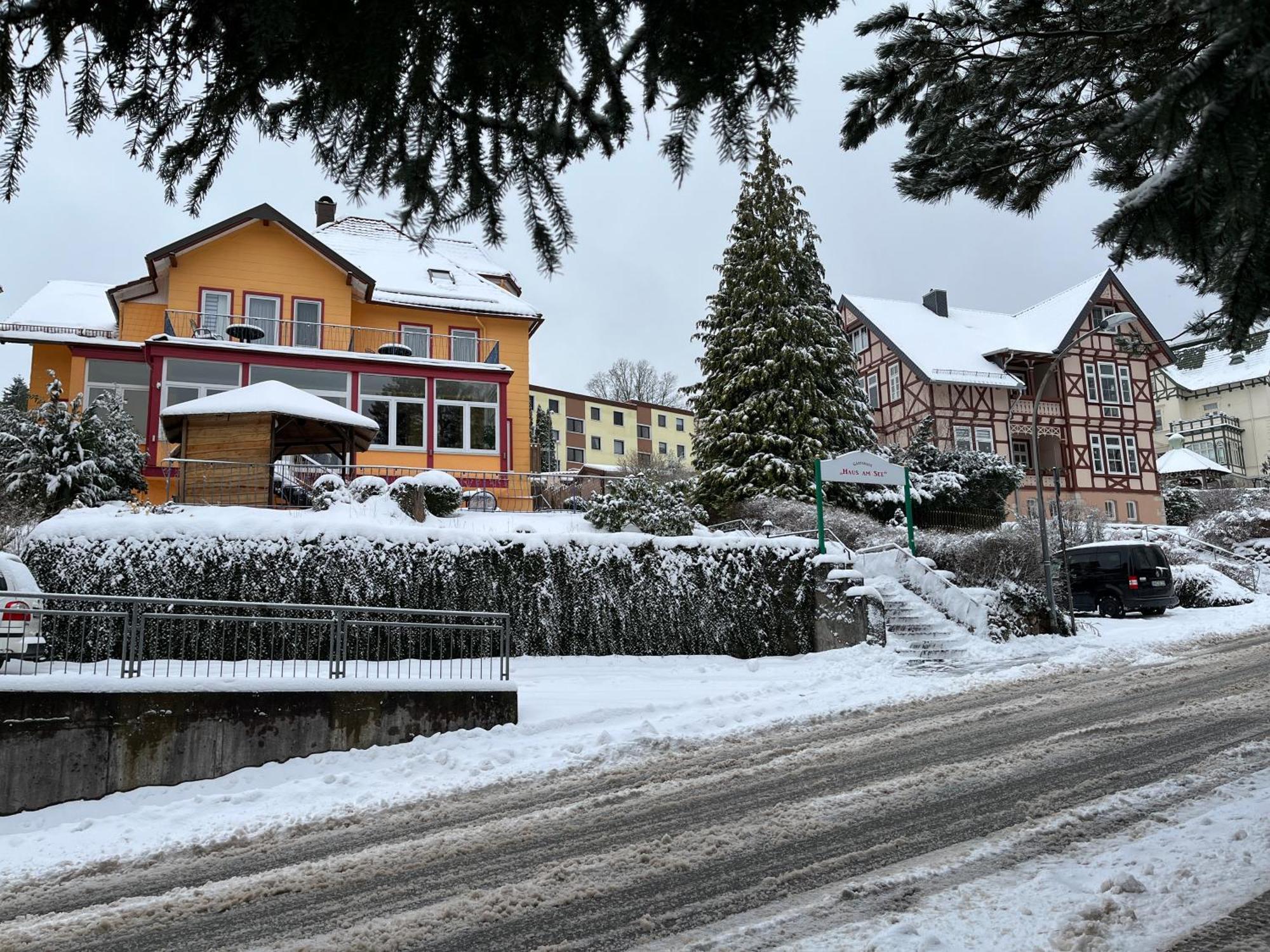 Haus Am See Hotell Bad Sachsa Exteriör bild