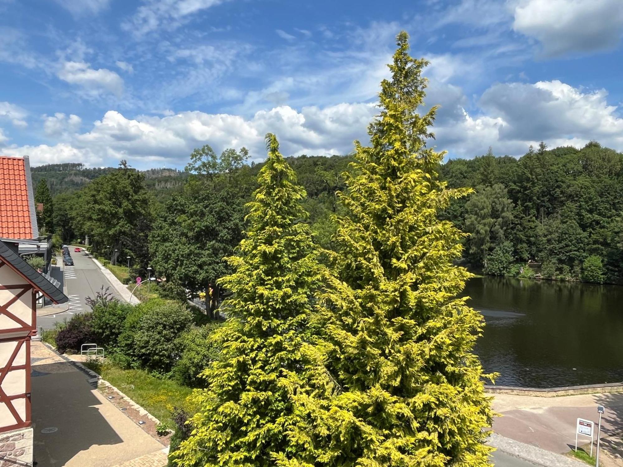 Haus Am See Bad Sachsa Exteriör bild