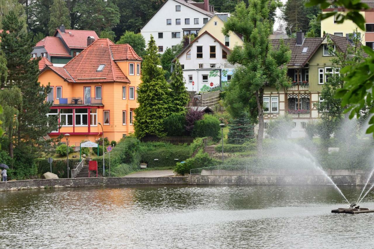 Haus Am See Hotell Bad Sachsa Exteriör bild